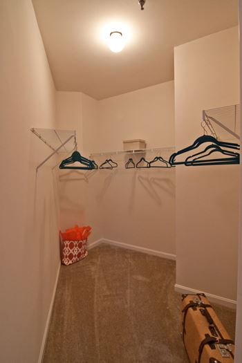 Walk - in closet